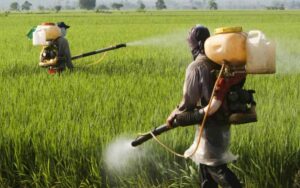 Вимоги безпеки під час роботи з пестицидами