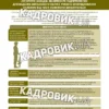 Плакати та шпаргалки для роботи відповідального за ведення військового обліку на підприємстві