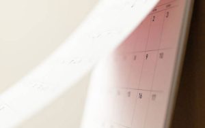 Чи враховується період призупинення дії трудового договору до стажу для щорічної основної відпустки?
