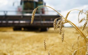 Мінекономіки посилило критерії критичності для аграріїв та лісгоспів: що змінилося